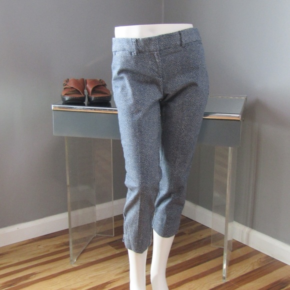 LOFT Pants - LOFT Marisa The Riviera Pant Blue White Size 4P